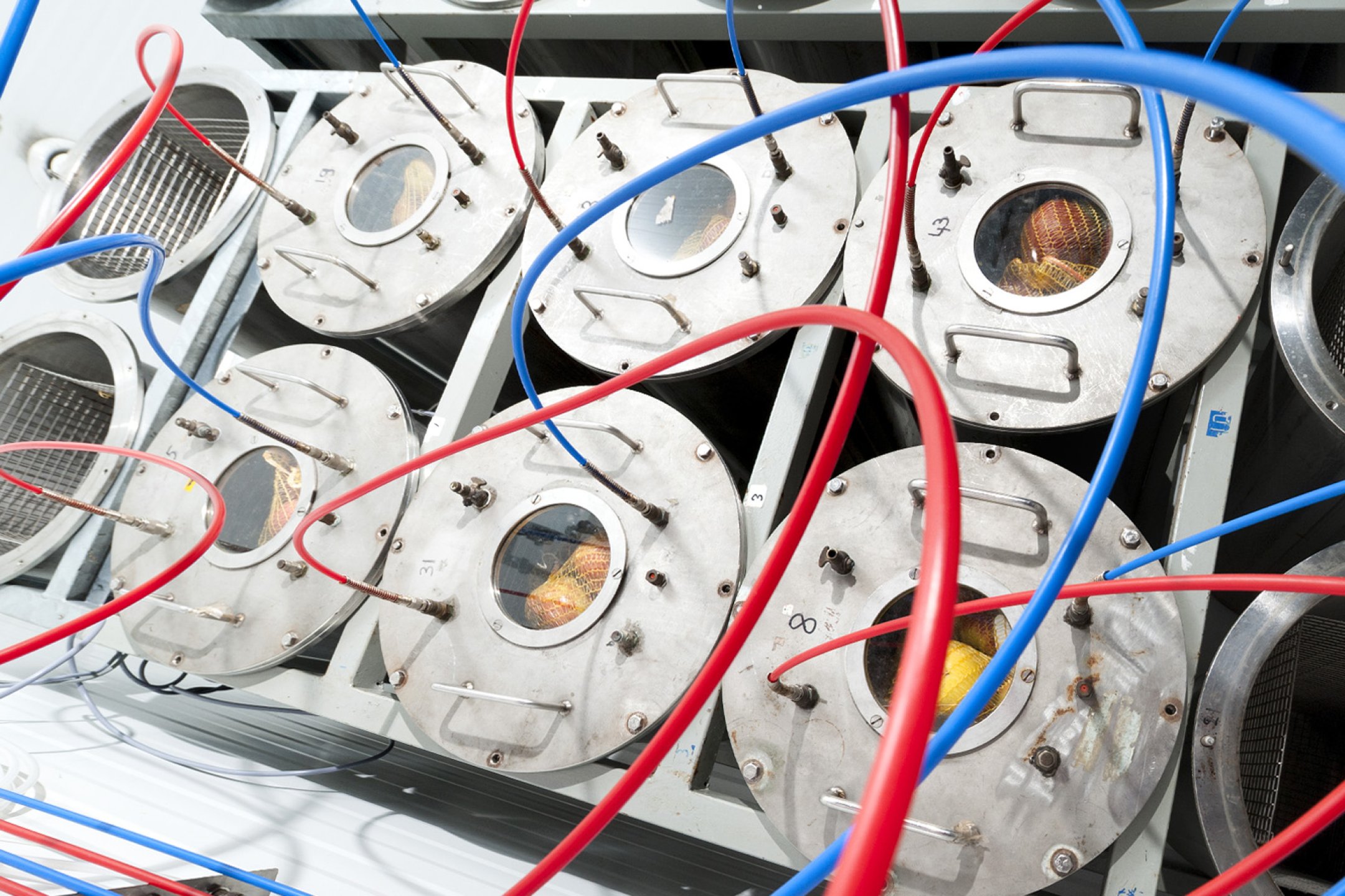 Publicaties in het na-oogst domein