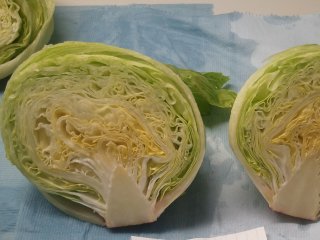 Iceberg lettuce with a good compactness. Photo by WUR