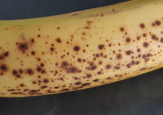 Banaan met 'sugar spots'. Foto van WUR