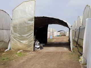 Een schaduwplek op het oogstveld. Foto van WUR