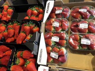 Er bestaan verschillende soorten aardbeien, die naast elkaar in het schap te vinden zijn. Foto van WUR