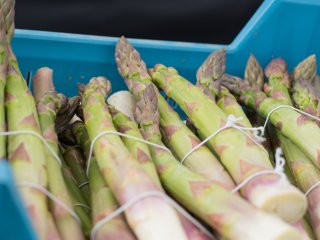 Asperges die doorgroeien in een krat. Foto door Kaca Skokanova/Shutterstock.com