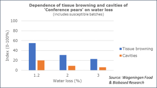 In this figure, the relation between tissue browning and cavities (brown heart) and water loss during 9 months of storage is shown. Source: WFBR