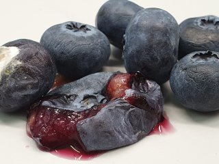 Rotte en beschadigde blauwe bessen moeten verwijderd worden. Foto van WUR