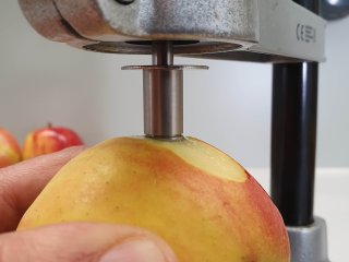 De probe moet tot aan de markering in de vrucht doordringen. Foto van WUR