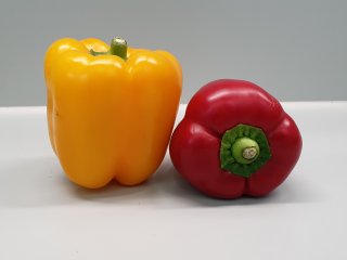 Paprika's van goede kwaliteit. Foto van WUR