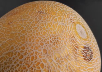 Melon showing a disorder which is visible from the outside. Photo by WUR.