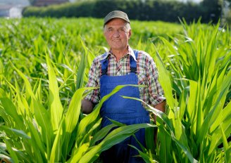 Farmer in the field. Photo by Visionsi/Shutterstock.com