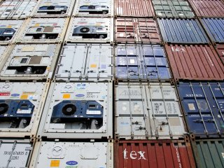 Reefer containers (wit) en standaard algemene zeecontainers. Foto van Hieronymus Ukkel/Shutterstock.com