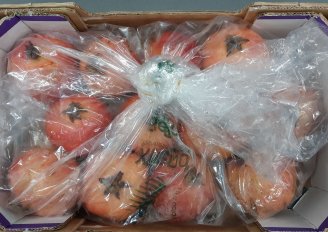 Pomegranates in a MA-bag in a box. Photo by WUR.