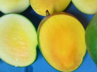 Mangos NIR measured on skin.jpg