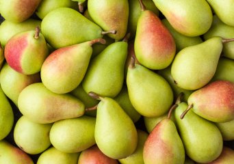 Photo by Italian Food Production/Shutterstock.com