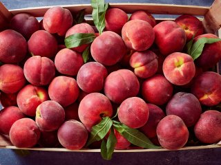 Figure 5. Peaches in a wooden crate. Source: Melica/shutterstock.com