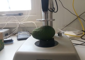 Fruit texture analyzer. Photo by WFBR. 