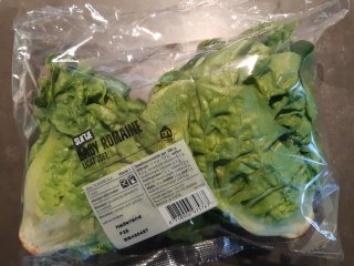 Baby Romaine sla in een flow pack. Foto van WUR