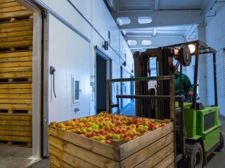 Forklift riding in apple storage facility. Photo by Sodel Vladyslav/Shutterstock.com