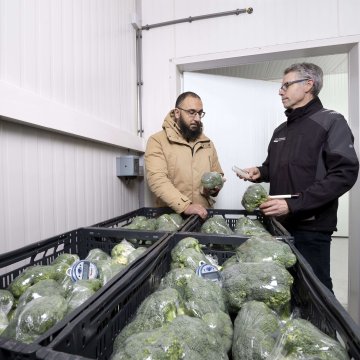 We helpen u bij het maken van goede beslissingen die werken in de praktijk.