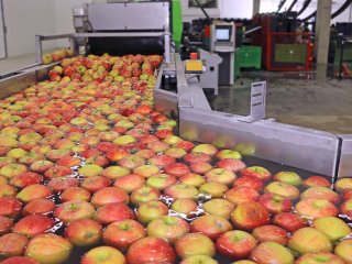 Waslijn van appels. Foto van branislavpudar/Shutterstock.com