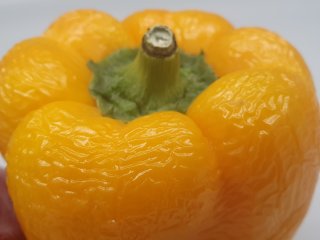 Desiccated sweet bell pepper. Photo by WUR