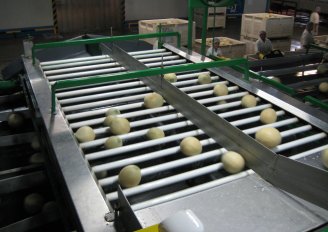 Meloenen op een sorteerlijn in een pakstation. Foto van WUR