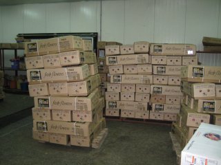 Let op! Scheefzakken van dozen op een pallet door slechte stapeling leidt gemakkelijk tot productschade. Foto door WUR