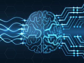 Deep learning algoritmes zijn geïnspireerd op de structuur van een menselijk brein. Foto van Laurent T/Shutterstock.com
