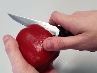 Quality inspection of peppers. Photo by WUR.