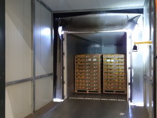 A cold tunnel dock for unloading melons. Each step in the melon chain helps to maintain better quality. Photo by WUR 