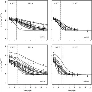 Voorbeeld resultaat modelsimulatie stevigheidsverloop voor verschillende mangobatches, in afwezigheid (links) of aanwezigheid (rechts van ethyleen, bij verschillende bewaartemperaturen [3]