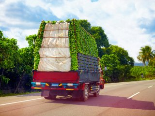 Truck with bananas on the road. Photo by Olesia Bilkei/Shutterstock.com