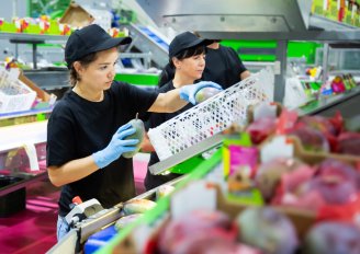 Het inpakken van mango's aan een lopende band voor beoordeling in inpakken. Foto van Bearfotos/Shutterstock.com