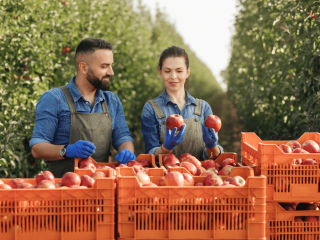 Man and woman taking a sample in the orchard. Photo by Prostock-studio/Shutterstock.com