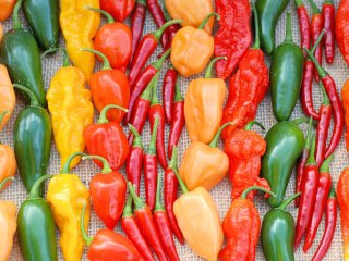 Verschillende soorten pepers hebben een verschillende mate van pittigheid. Foto van Julie Cloper/Shutterstock.com