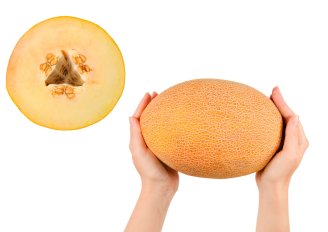 Melon external and internal appearance. Photo by Holiday.Photo.Top/Shutterstock.com