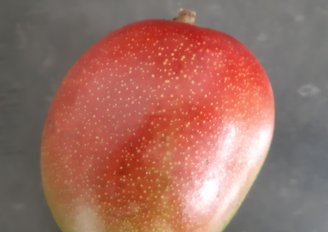 A mango with a red skin. Photo by WFBR