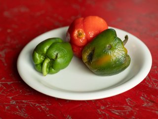 Peppers in decay. Photo by Lea Rae/Shutterstock