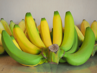 Bananas in various ripening stages. Photo by Tknature/Shutterstock.com