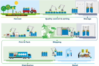 Figuur 1: Schematische weergave van de rol van robotica in de keten na de oogst. De keten na de oogst bestaat uit kwaliteitsbeheer & sorteren kort na de oogst, opslag op locatie of tijdens transport, verzamelen & verpakken om producten klaar te maken voor de volgende schakel in de keten, distributie naar de detailhandel en de detailhandel zelf. Robottechnologieën kunnen meerdere activiteiten in de keten ondersteunen, waaronder manipulatiehandelingen (zoals sorteren, sorteren, verpakken, op pallets zetten) en opslagbeheer en materiaalstroom (met behulp van mobiele robots voor o.a. realtime bewaking van productkwaliteit en opslagomstandigheden, geautomatiseerd inventaris- en voorraadbeheer en efficiënte ruimteorganisatie). 