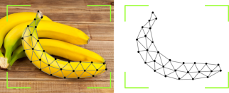 A banana can be stored as a digital object so that its relevant aspects can be represented in the digital environment.. Illustration by WUR.