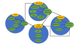 Dit vereenvoudigde diagram toont de verschillende (cor)relaties tussen verschillende aspecten die na de oogst van invloed zijn op de eindkwaliteit van een vrucht. De groeiomstandigheden waaronder het fruit groeide, zoals het seizoen, de oogst, de herkomst en de vruchtgrootte, beïnvloeden niet alleen de vruchtkwaliteit bij de oogst en de eindkwaliteit (op consumentenniveau), maar ook de bewaarbaarheid van het fruit. Deze bewaarbaarheid zal de omstandigheden, de duur van de opslag en het ethyleenbeheer beïnvloeden. Na opslag zal de kwaliteit van het fruit de verkoopbaarheid ervan beïnvloeden en daarmee ook andere factoren zoals de afstand tot de markt.