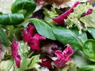 Activities in the packhouse depend on the type of lettuce. Photo by WUR