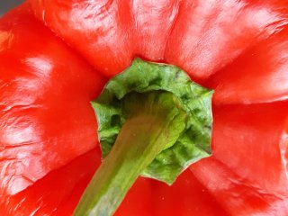 Rimpelen van paprika. Foto door WUR