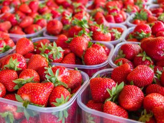 Strawberries should always look fresh. Photo by Andrej Privizer/Shutterstock.com