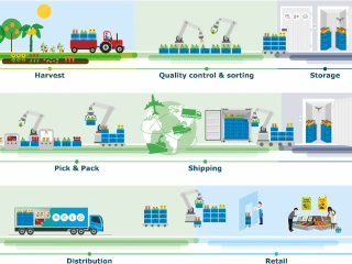 Figure 1: Representation of the roles of robotics in the post-harvest supply chain. The post-harvest supply chain consists of Quality control & sorting shortly after harvest, Storage on location or during transportation, pick & pack to prepare produce for the next actor in the chain, Distribution to retail, and Retail itself. Robotic technologies can support multiple activities in the chain, including manipulation operations (such as grading, sorting, packaging, palletizing) and storage management and material flow (using mobile robots for, i.e. real-time monitoring of product quality and storage conditions, automated inventory and stock management, efficient space organization).