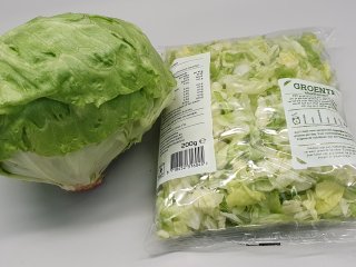 Whole and fresh-cut iceberg lettuce. Photo by WUR