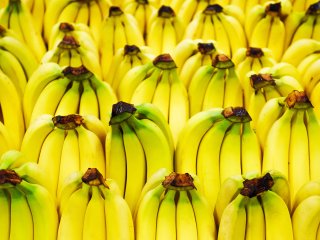 Bananas on the shelf in a shop. Photo by Vipavlenkoff/Shutterstock.com