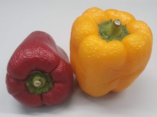 Dehydrated block peppers. Photo by WUR. 