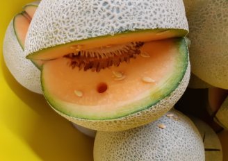 Skin and flesh colour of melon are maturity indicators of melons. Photo by WUR