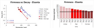 Results from the strawberry research on firmness. On the left a graph depicting the relation between formness and decay of Elsanta strawberries. On the right a graph indicating the firmness score for a number of days after harvest. Source: WUR 