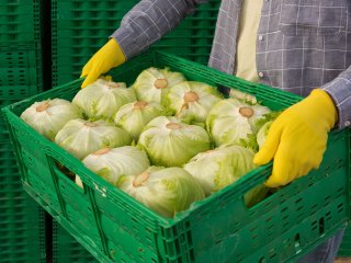 It is recommended to do a quality check during unloading. Photo AnEduard/Shutterstock.com